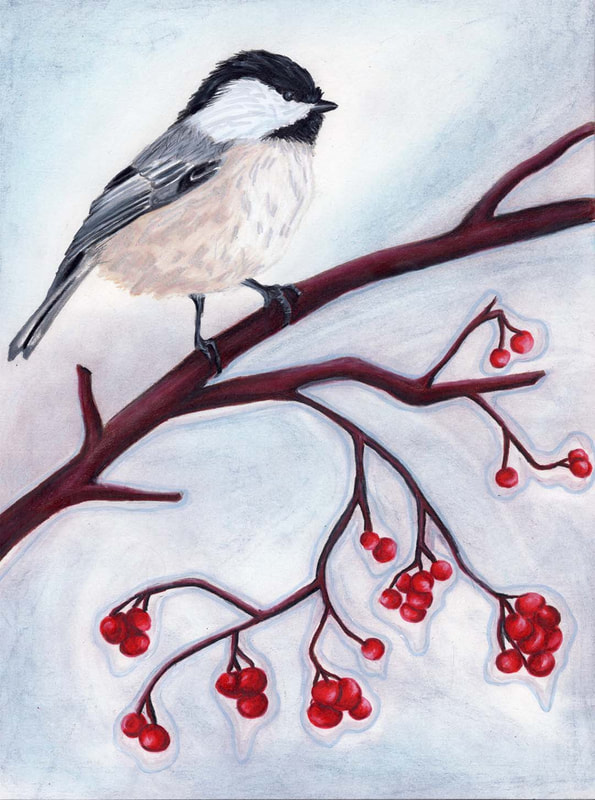 Chickadee on branch with red berries