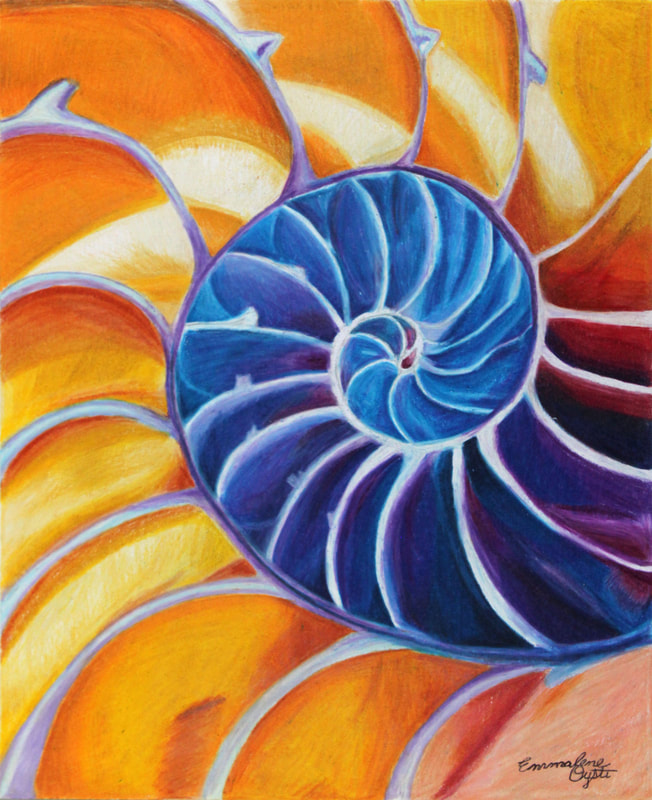 hyper realistic spiral shell colored pencil drawing or illustration