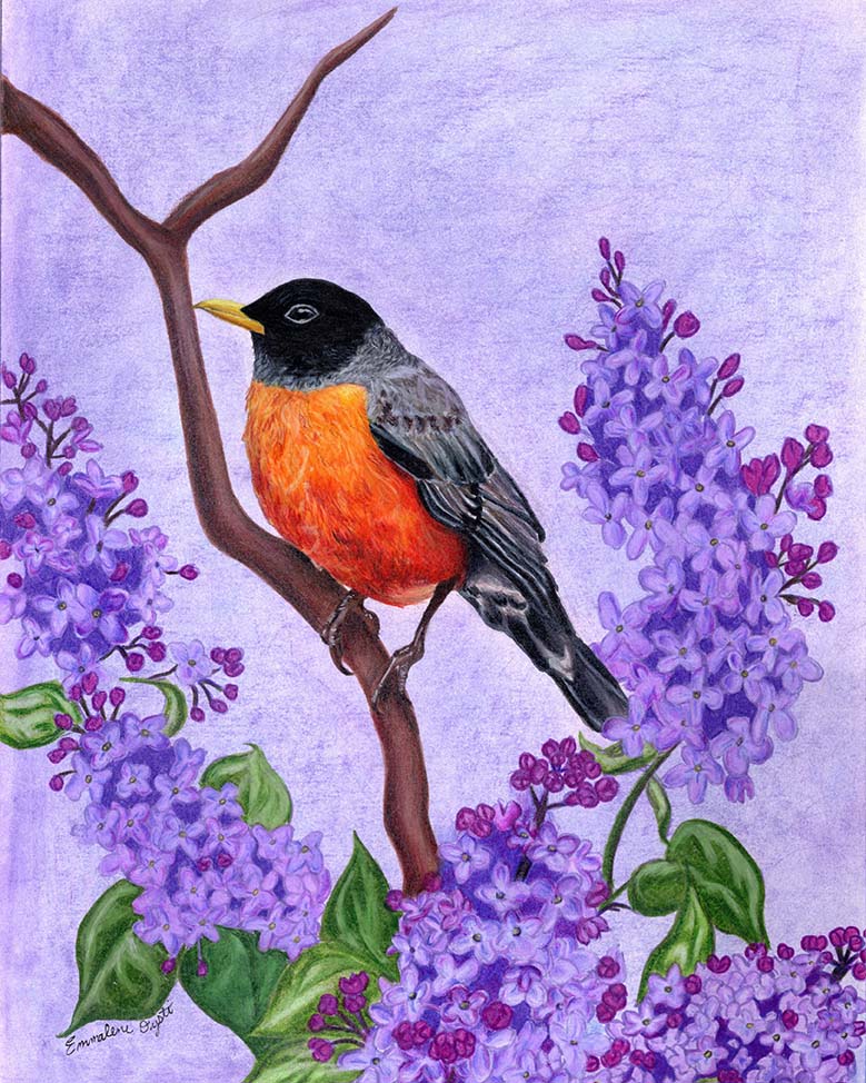 robin and lilac flower branch mixed media illustration