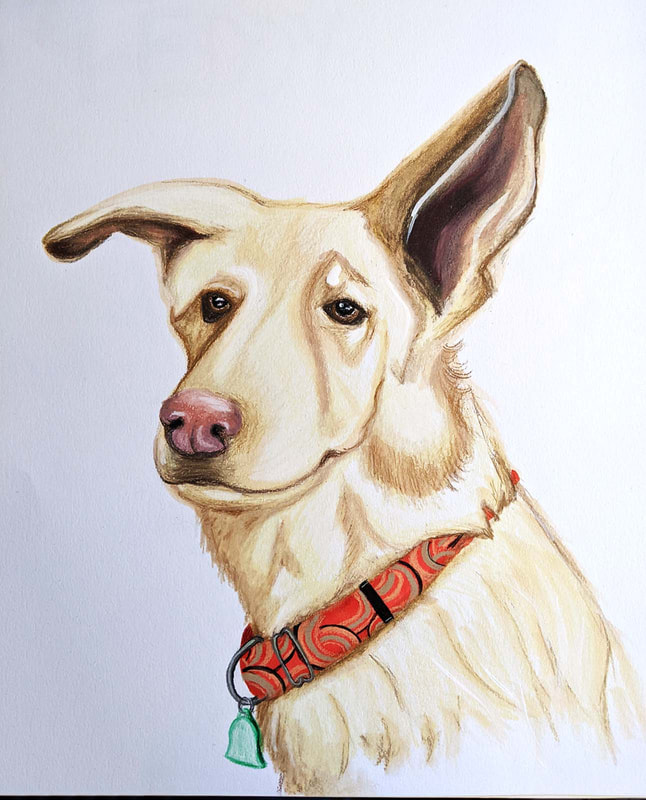 Mixed Breed Dog Portrait, Red collar, blonde dog